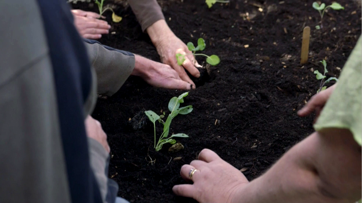Garden5Still.png
