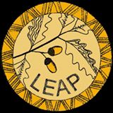 LEAP_golden_logo.jpg